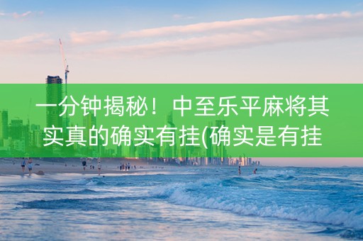 一分钟揭秘！中至乐平麻将其实真的确实有挂(确实是有挂的)