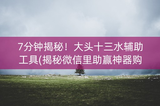 7分钟揭秘！大头十三水辅助工具(揭秘微信里助赢神器购买)