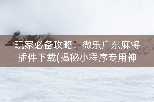 玩家必备攻略！微乐广东麻将插件下载(揭秘小程序专用神器)