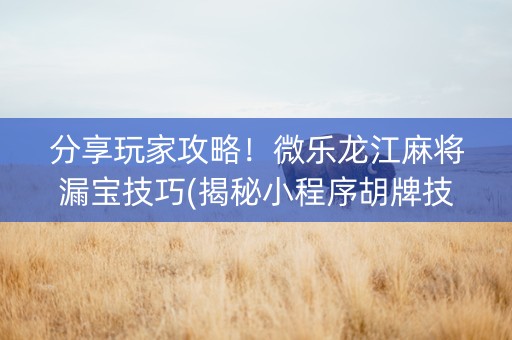 分享玩家攻略！微乐龙江麻将漏宝技巧(揭秘小程序胡牌技巧)