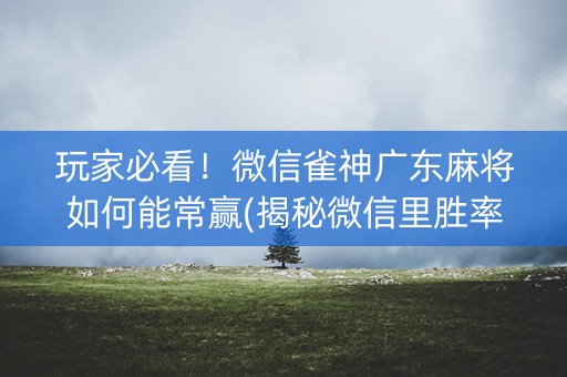 玩家必看！微信雀神广东麻将如何能常赢(揭秘微信里胜率到哪调)