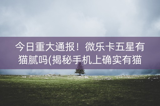 今日重大通报！微乐卡五星有猫腻吗(揭秘手机上确实有猫腻)