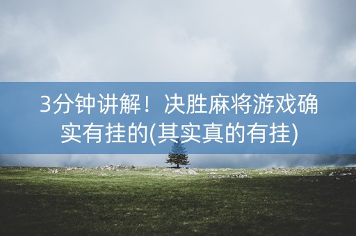 3分钟讲解！决胜麻将游戏确实有挂的(其实真的有挂)