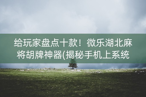 给玩家盘点十款！微乐湖北麻将胡牌神器(揭秘手机上系统发好牌)