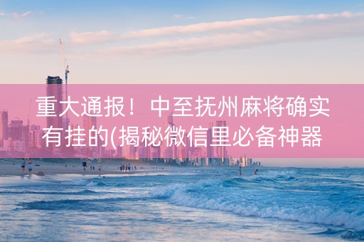 重大通报！中至抚州麻将确实有挂的(揭秘微信里必备神器)