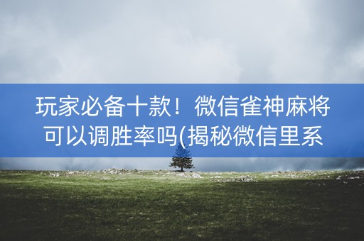 玩家必备十款！微信雀神麻将可以调胜率吗(揭秘微信里系统发好牌)