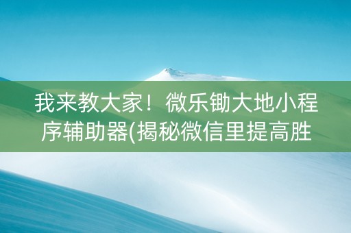 我来教大家！微乐锄大地小程序辅助器(揭秘微信里提高胜率)