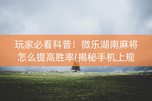 玩家必看科普！微乐湖南麻将怎么提高胜率(揭秘手机上规律攻略)