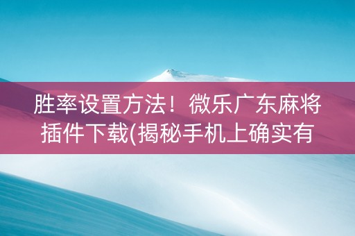 胜率设置方法！微乐广东麻将插件下载(揭秘手机上确实有猫腻)