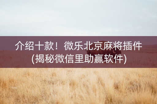 介绍十款！微乐北京麻将插件(揭秘微信里助赢软件)