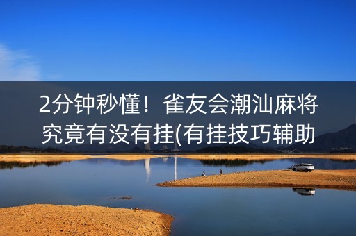 2分钟秒懂！雀友会潮汕麻将究竟有没有挂(有挂技巧辅助器)