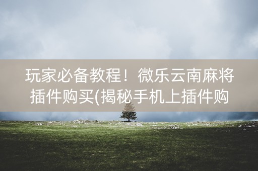 玩家必备教程！微乐云南麻将插件购买(揭秘手机上插件购买)