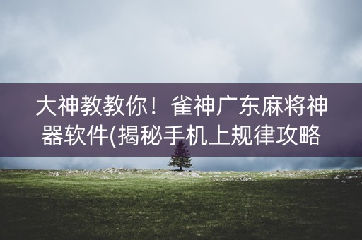 大神教教你！雀神广东麻将神器软件(揭秘手机上规律攻略)
