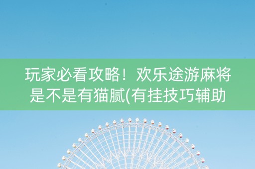 玩家必看攻略！欢乐途游麻将是不是有猫腻(有挂技巧辅助器)
