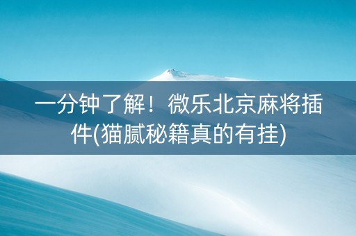 一分钟了解！微乐北京麻将插件(猫腻秘籍真的有挂)