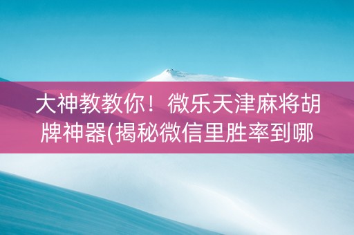 大神教教你！微乐天津麻将胡牌神器(揭秘微信里胜率到哪调)