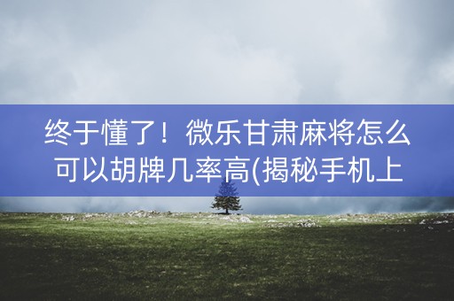 终于懂了！微乐甘肃麻将怎么可以胡牌几率高(揭秘手机上赢牌技巧)