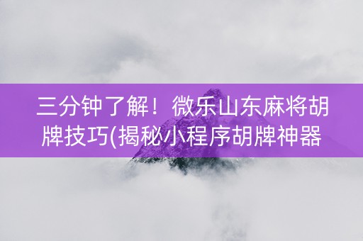 三分钟了解！微乐山东麻将胡牌技巧(揭秘小程序胡牌神器)