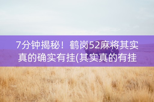 7分钟揭秘！鹤岗52麻将其实真的确实有挂(其实真的有挂)