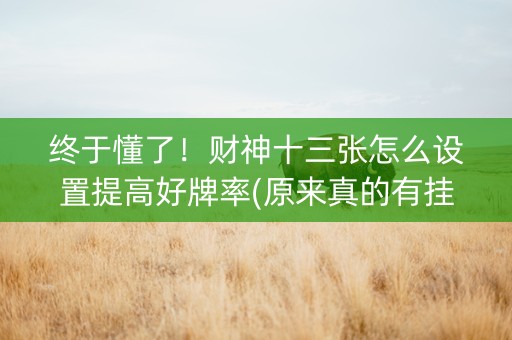 终于懂了！财神十三张怎么设置提高好牌率(原来真的有挂)