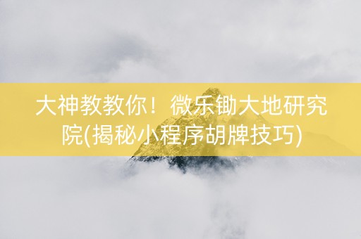 大神教教你！微乐锄大地研究院(揭秘小程序胡牌技巧)