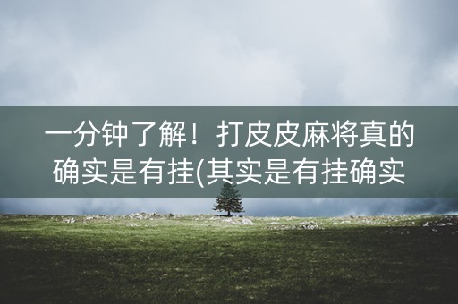 一分钟了解！打皮皮麻将真的确实是有挂(其实是有挂确实有挂)
