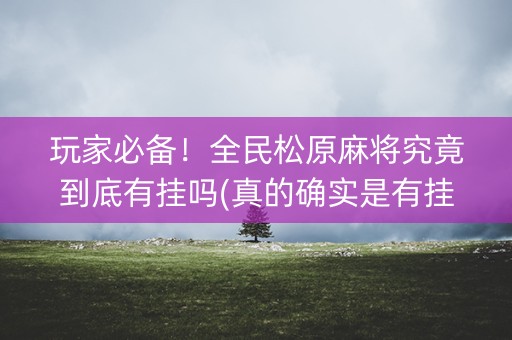 玩家必备！全民松原麻将究竟到底有挂吗(真的确实是有挂)