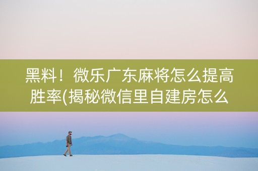 黑料！微乐广东麻将怎么提高胜率(揭秘微信里自建房怎么赢)