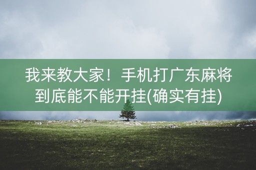 我来教大家！手机打广东麻将到底能不能开挂(确实有挂)