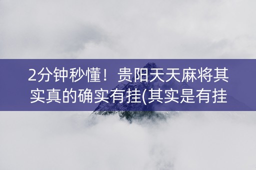 2分钟秒懂！贵阳天天麻将其实真的确实有挂(其实是有挂确实有挂)
