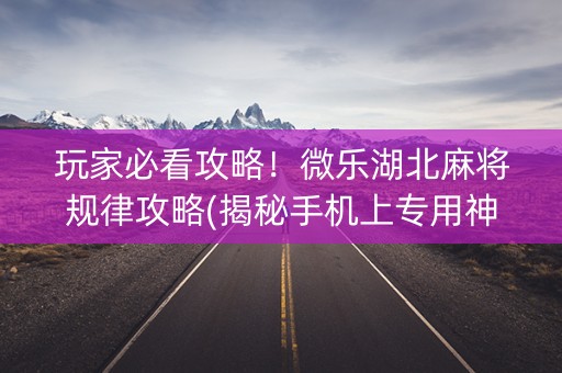 玩家必看攻略！微乐湖北麻将规律攻略(揭秘手机上专用神器)