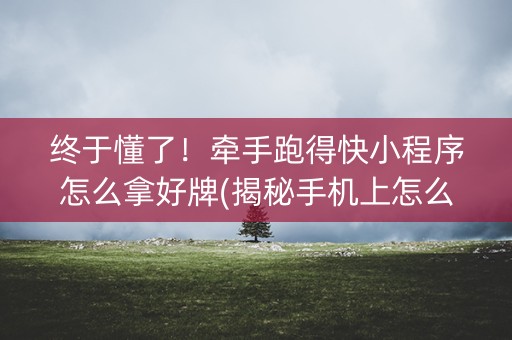 终于懂了！牵手跑得快小程序怎么拿好牌(揭秘手机上怎么容易赢)