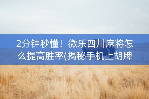 2分钟秒懂！微乐四川麻将怎么提高胜率(揭秘手机上胡牌神器)
