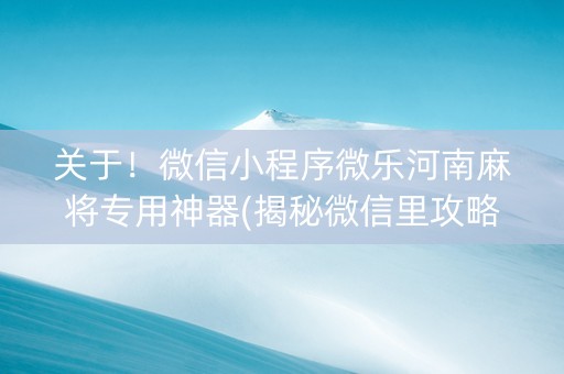 关于！微信小程序微乐河南麻将专用神器(揭秘微信里攻略插件)