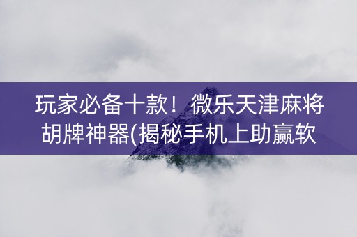 玩家必备十款！微乐天津麻将胡牌神器(揭秘手机上助赢软件)