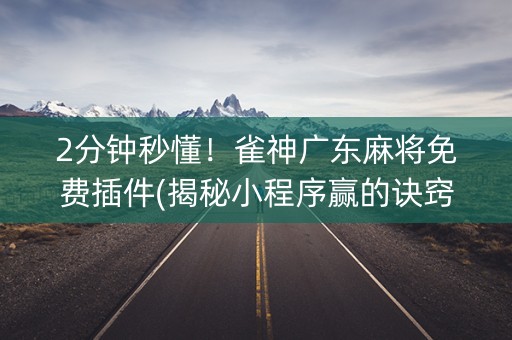 2分钟秒懂！雀神广东麻将免费插件(揭秘小程序赢的诀窍)