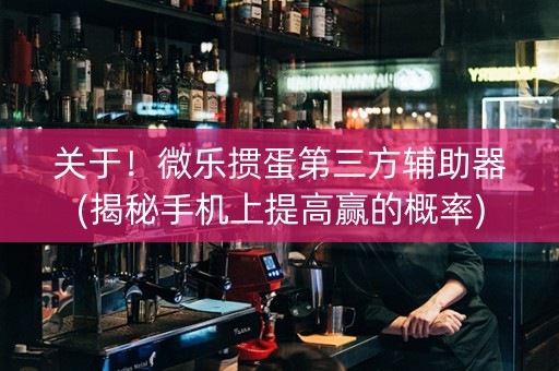 关于！微乐掼蛋第三方辅助器(揭秘手机上提高赢的概率)
