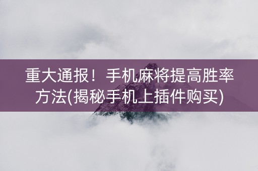 重大通报！手机麻将提高胜率方法(揭秘手机上插件购买)