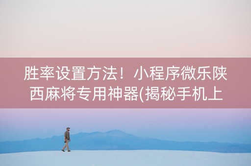 胜率设置方法！小程序微乐陕西麻将专用神器(揭秘手机上胜率到哪调)