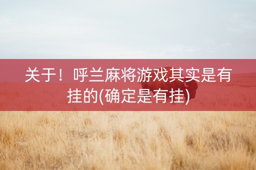 关于！呼兰麻将游戏其实是有挂的(确定是有挂)