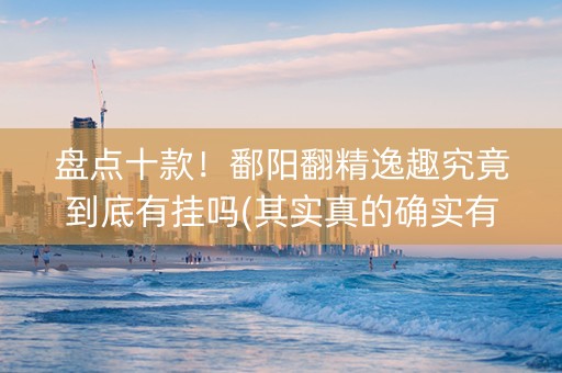 盘点十款！鄱阳翻精逸趣究竟到底有挂吗(其实真的确实有挂)