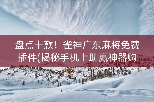 盘点十款！雀神广东麻将免费插件(揭秘手机上助赢神器购买)