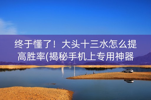 终于懂了！大头十三水怎么提高胜率(揭秘手机上专用神器)