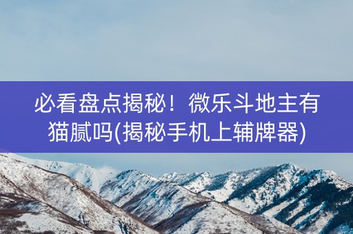 必看盘点揭秘！微乐斗地主有猫腻吗(揭秘手机上辅牌器)