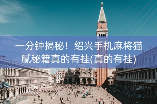 一分钟揭秘！绍兴手机麻将猫腻秘籍真的有挂(真的有挂)