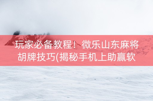 玩家必备教程！微乐山东麻将胡牌技巧(揭秘手机上助赢软件)