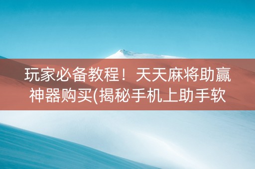 玩家必备教程！天天麻将助赢神器购买(揭秘手机上助手软件)