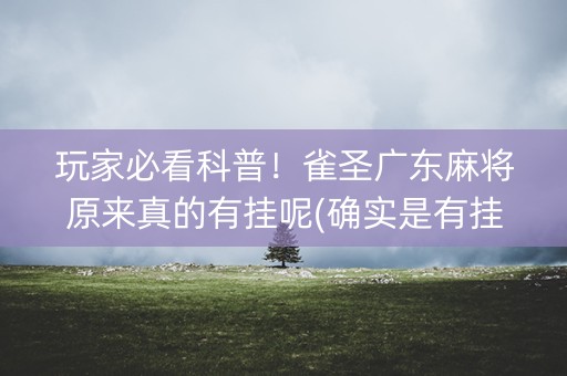 玩家必看科普！雀圣广东麻将原来真的有挂呢(确实是有挂)
