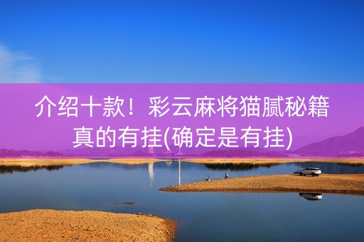 介绍十款！彩云麻将猫腻秘籍真的有挂(确定是有挂)