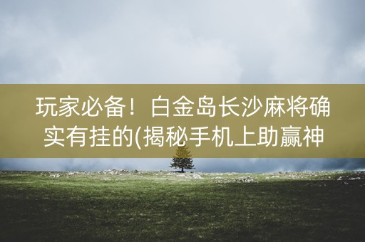 玩家必备！白金岛长沙麻将确实有挂的(揭秘手机上助赢神器)